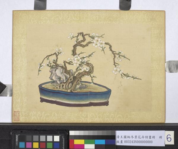 清王圖炳冬景花卉詩畫冊　冊　盆梅