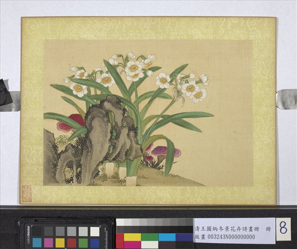 清王圖炳冬景花卉詩畫冊　冊　水仙