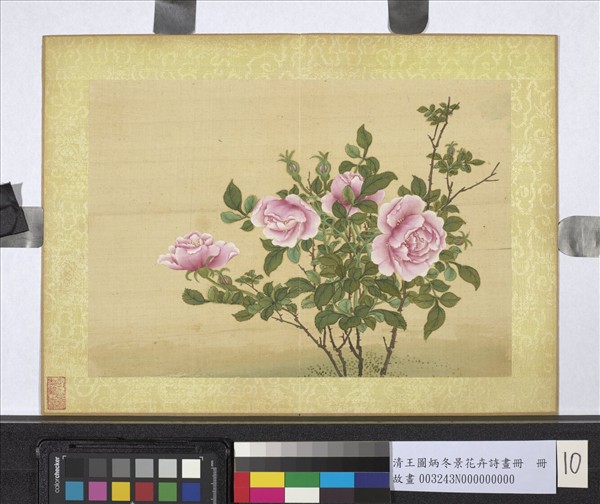 清王圖炳冬景花卉詩畫冊　冊　月季