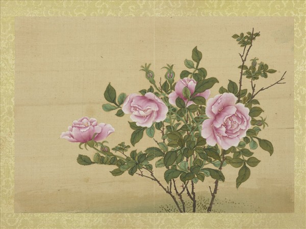 清王圖炳冬景花卉詩畫冊　冊　月季