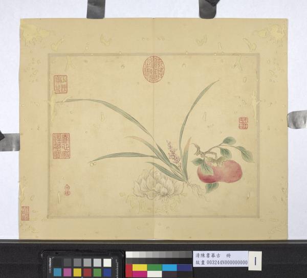 清陳書摹古　冊　花果