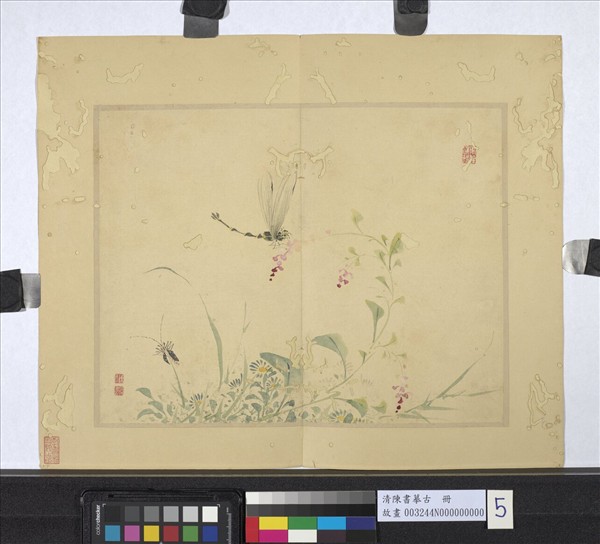 清陳書摹古　冊　菊花蜻蜓