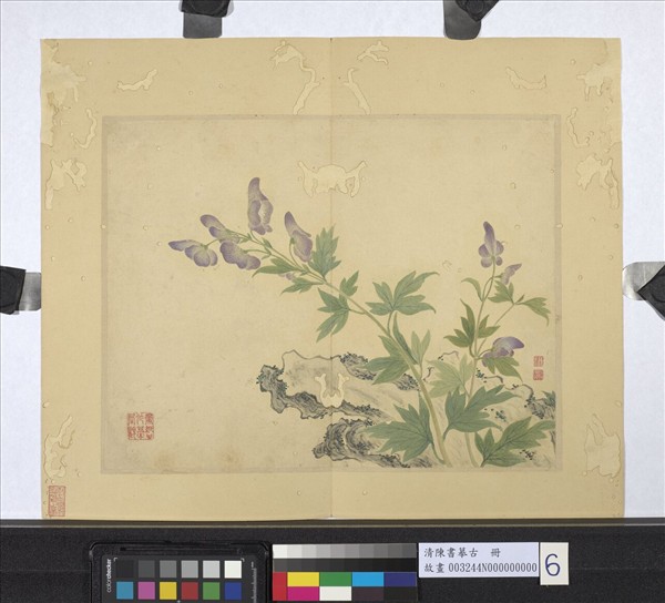 清陳書摹古　冊　奇石花卉