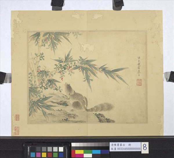 清陳書摹古　冊　花竹松鼠