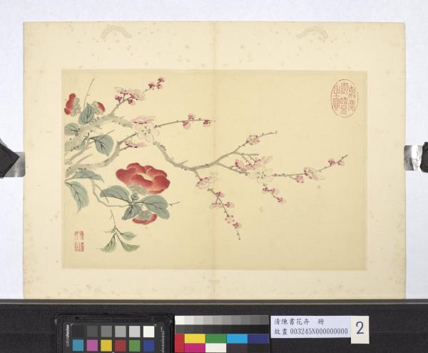 清陳書花卉　冊　紅梅茶花