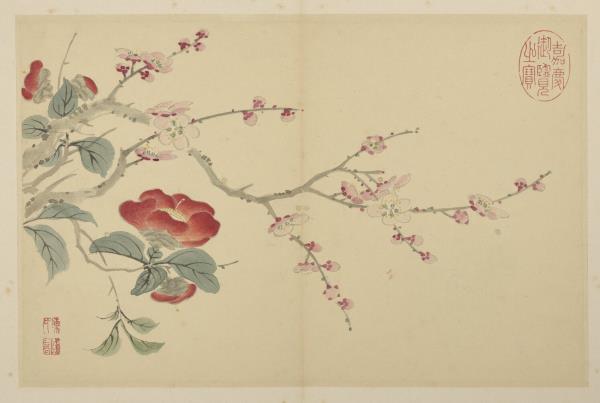 清陳書花卉　冊　紅梅茶花