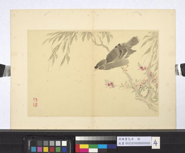 清陳書花卉　冊　桃花八哥