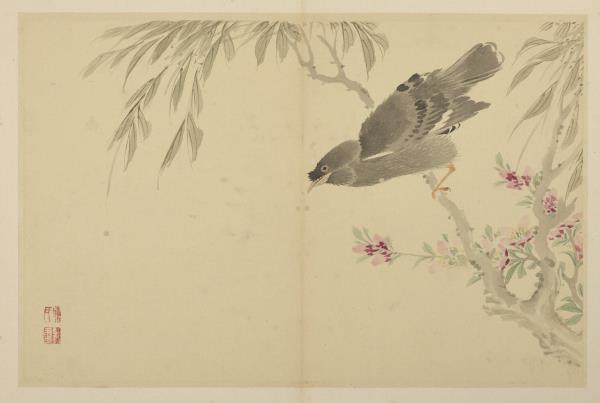 清陳書花卉　冊　桃花八哥