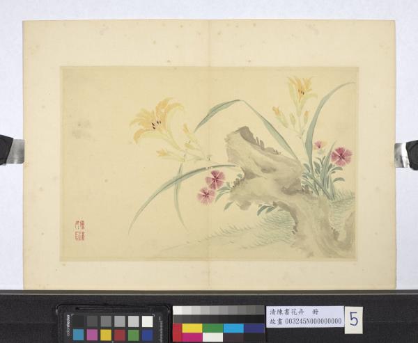 清陳書花卉　冊　石竹萱花