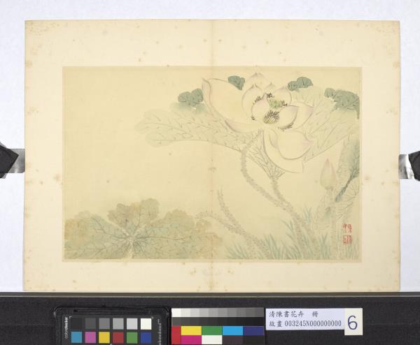 清陳書花卉　冊　荷花