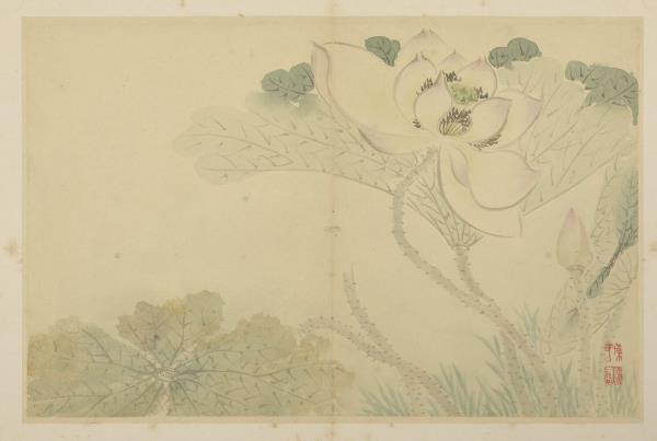 清陳書花卉　冊　荷花