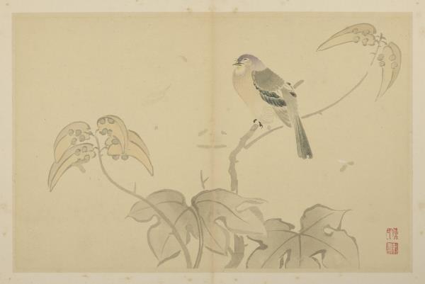 清陳書花卉　冊　梧桐翎毛