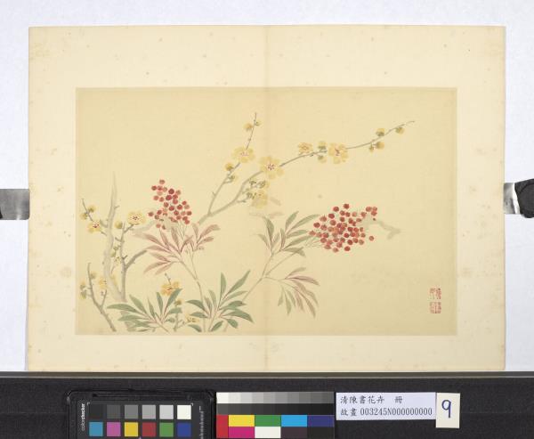 清陳書花卉　冊　臘梅天竺