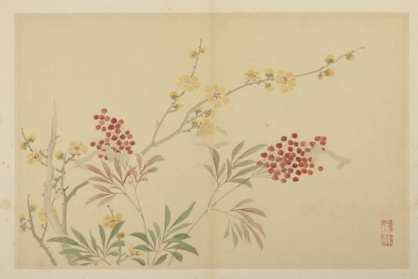 清陳書花卉　冊　臘梅天竺