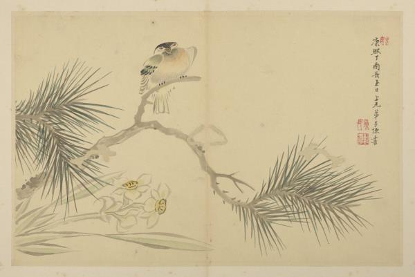 清陳書花卉　冊　松樹水仙