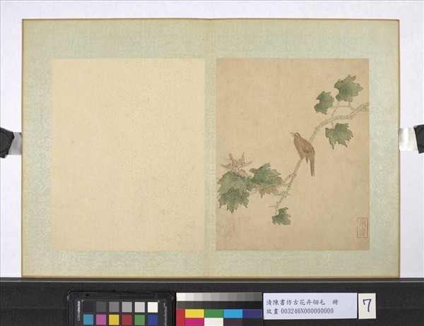 清陳書仿古花卉翎毛　冊　梧桐畫眉