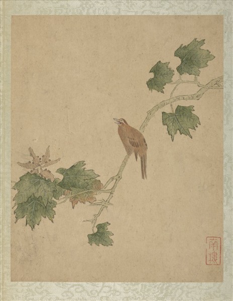 清陳書仿古花卉翎毛　冊　梧桐畫眉