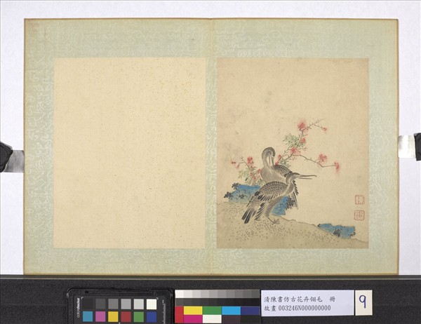 清陳書仿古花卉翎毛　冊　鸕鶿