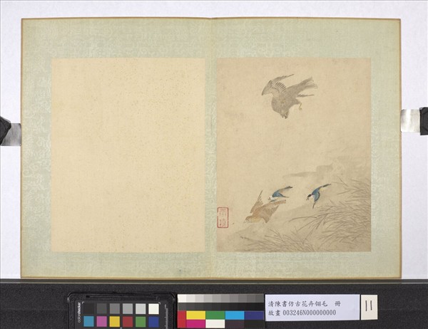 清陳書仿古花卉翎毛　冊　蘆葦翔鷹