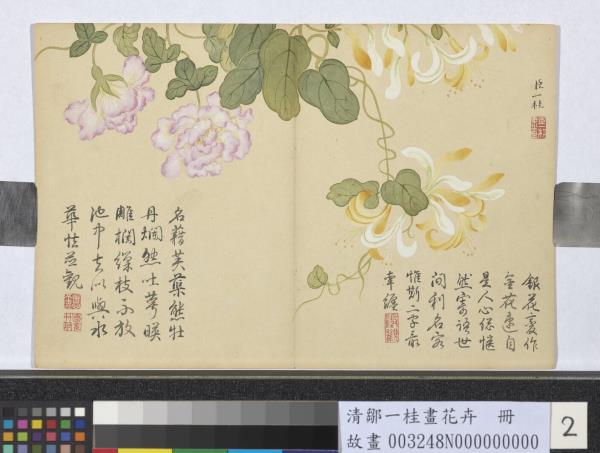 清鄒一桂畫花卉　冊　金銀藤纏枝蓮