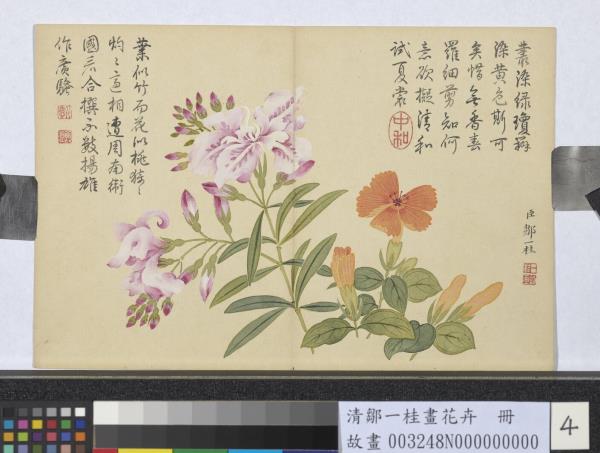清鄒一桂畫花卉　冊　剪春羅夾竹桃