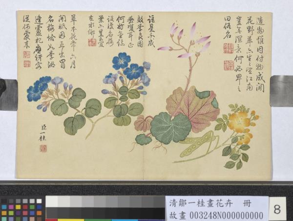 清鄒一桂畫花卉　冊　望江南虎耳草翠梅
