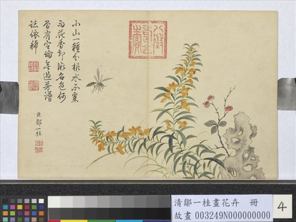 清鄒一桂畫花卉　冊　水木樨