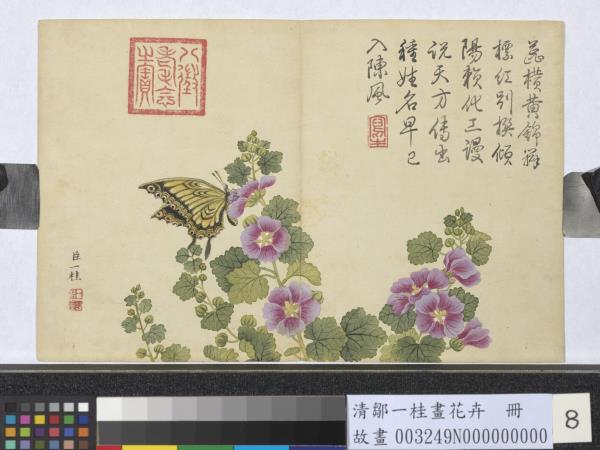 清鄒一桂畫花卉　冊　錦葵