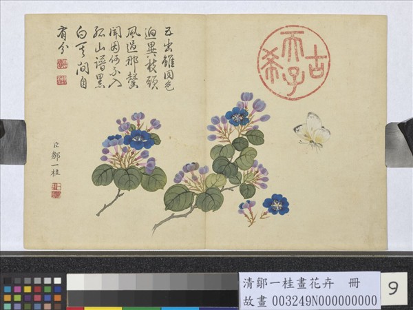 清鄒一桂畫花卉　冊　翠梅