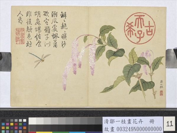 清鄒一桂畫花卉　冊　紅蓼