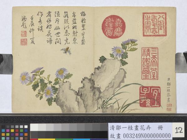 清鄒一桂畫花卉　冊　藍菊