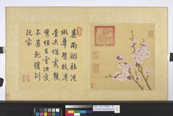 清鄒一桂花卉畫冊　冊　杏花