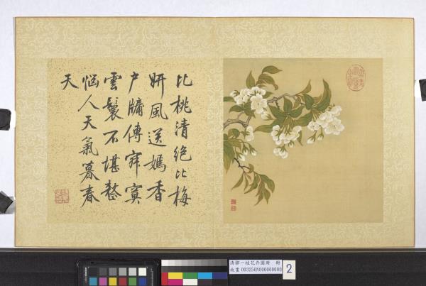 清鄒一桂花卉畫冊　冊　李花