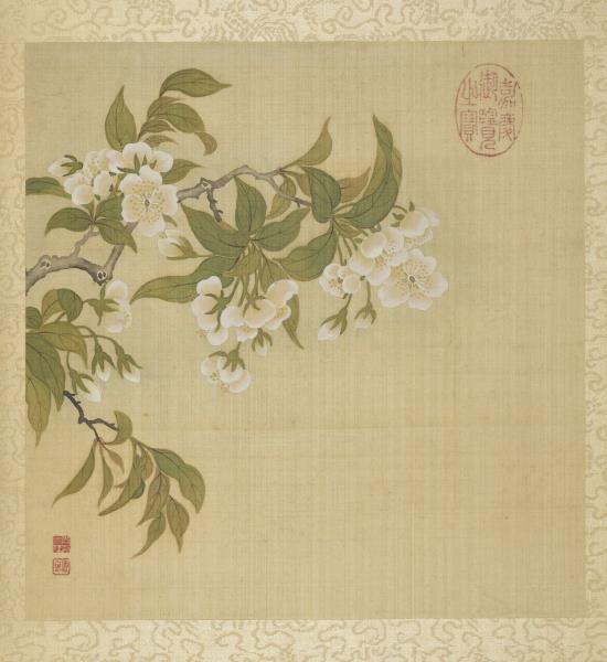 清鄒一桂花卉畫冊　冊　李花