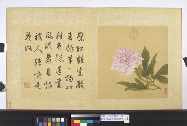 清鄒一桂花卉畫冊　冊　芍藥