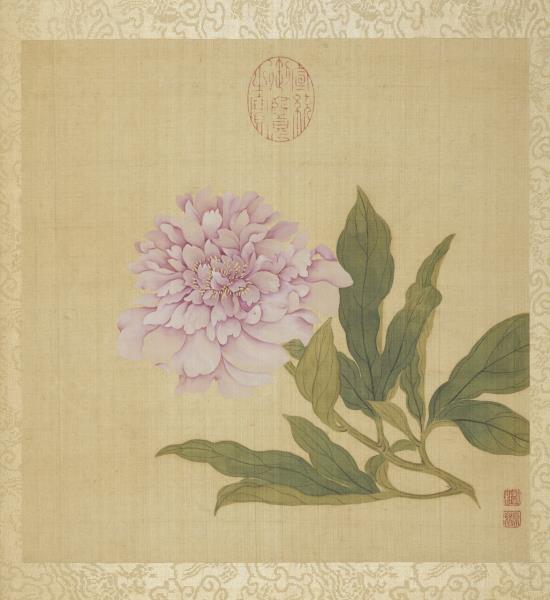 清鄒一桂花卉畫冊　冊　芍藥