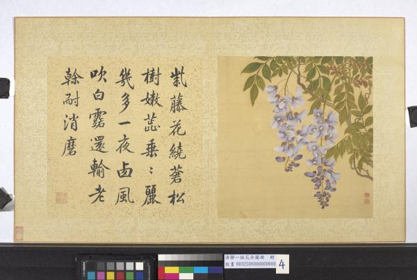 清鄒一桂花卉畫冊　冊　紫藤花