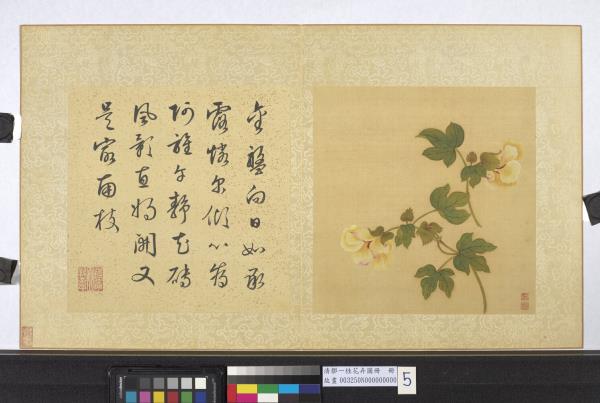 清鄒一桂花卉畫冊　冊　葵花