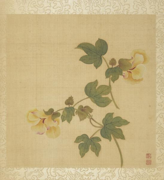 清鄒一桂花卉畫冊　冊　葵花