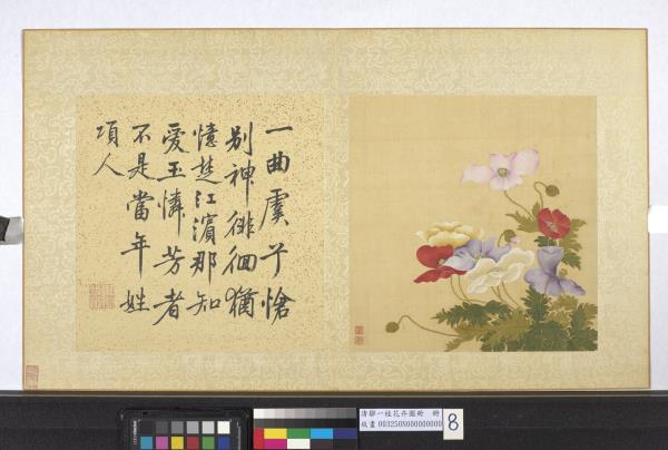 清鄒一桂花卉畫冊　冊　虞美人