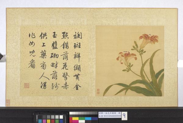 清鄒一桂花卉畫冊　冊　宜男花