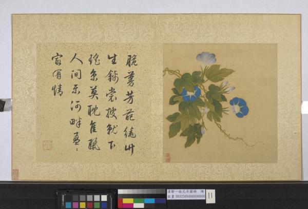 清鄒一桂花卉畫冊　冊　牽牛花