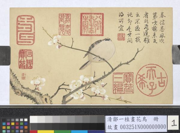 清鄒一桂畫花鳥　冊　梅花麻雀