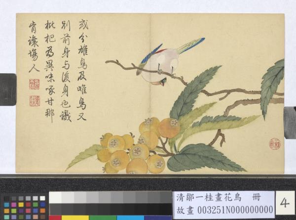 清鄒一桂畫花鳥　冊　枇杷翡翠