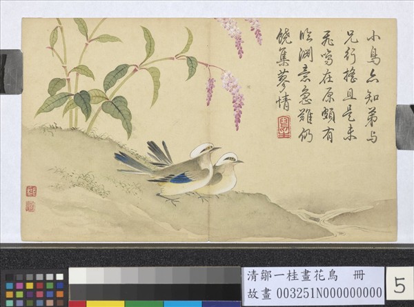 清鄒一桂畫花鳥　冊　紅蓼鶺鴒