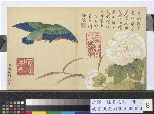 清鄒一桂畫花鳥　冊　芙蓉翠鳥