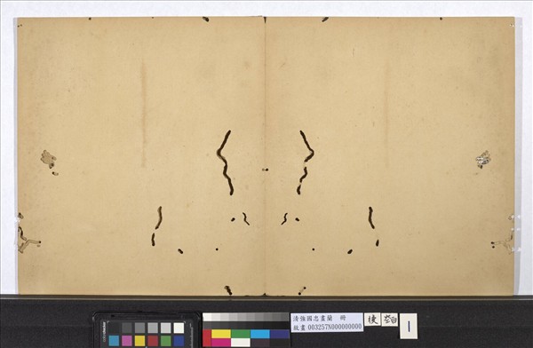 清強國忠畫蘭　冊