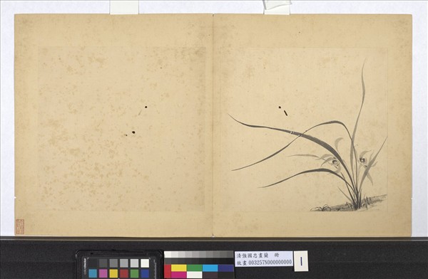 清強國忠畫蘭　冊　蘭花（一）