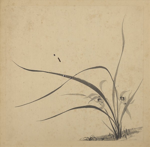 清強國忠畫蘭　冊　蘭花（一）