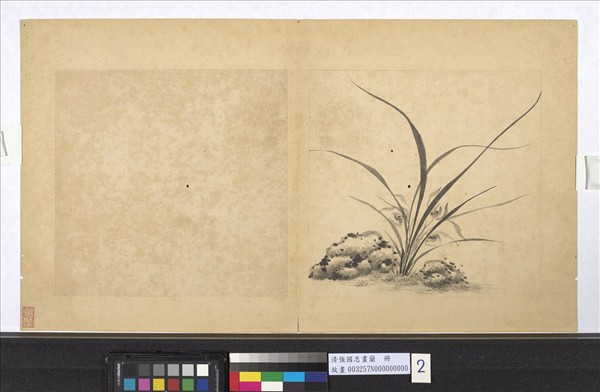 清強國忠畫蘭　冊　蘭花（二）